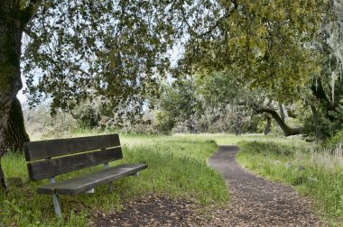 Nature trail with bench clipart
