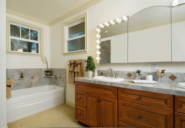 Großes modernes Badezimmer — Stockfoto