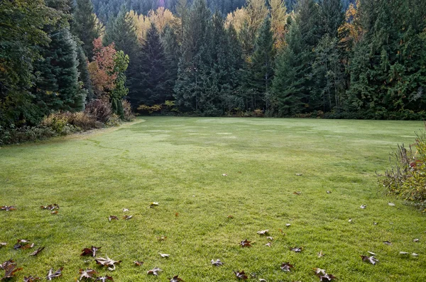 stock image Fall meadow