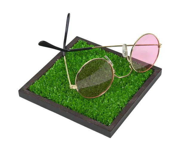 stock image Rose Colored Glasses on The Grass