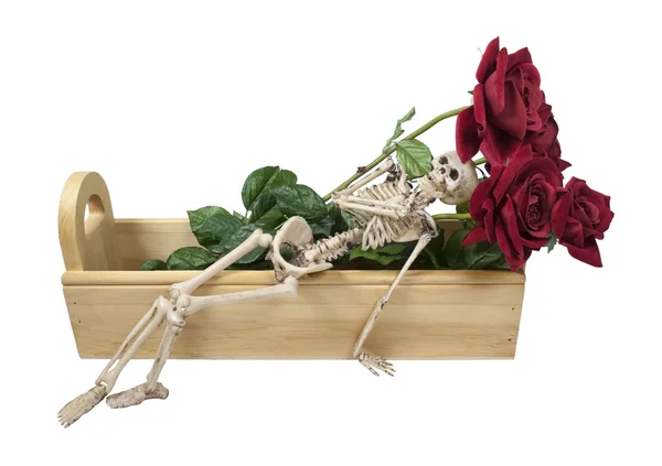 Esqueleto acostado en una caja de madera con rosas — Foto de Stock