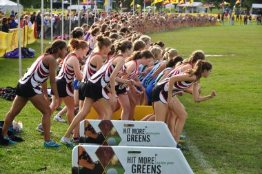 Minnesota High School Girls Perpare to Start the Roy Griak Invitational Cro clipart