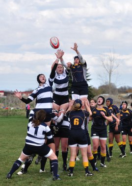 A Lineout in a Women's College Rugby Match clipart