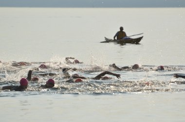 Start of a Women's Open Water Swim Race clipart