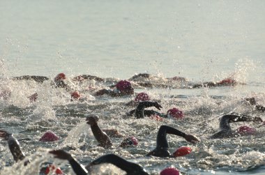 Women Competing in Open Water Swim Race clipart