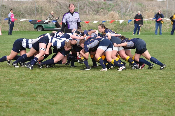 Un Scrum en un partido de rugby femenino —  Fotos de Stock