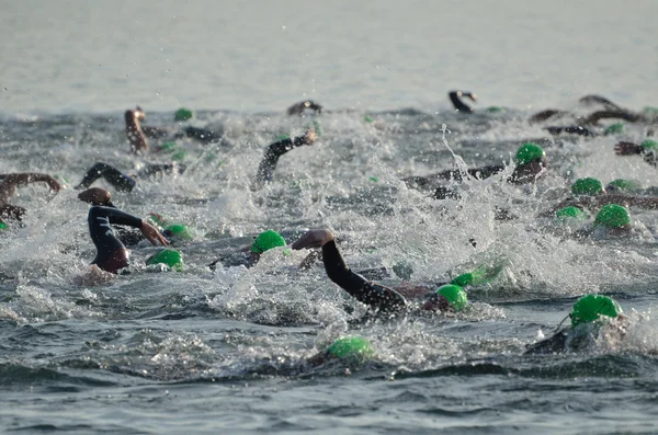 Inizio di una gara di nuoto in mare aperto maschile — Foto Stock
