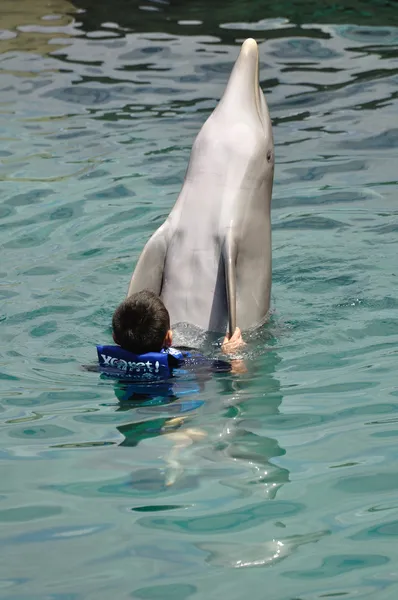Мальчик плавает с дельфином в бутылках — стоковое фото