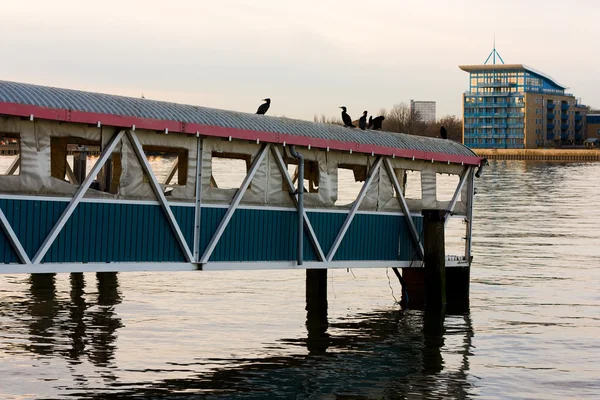 terkedilmiş pier