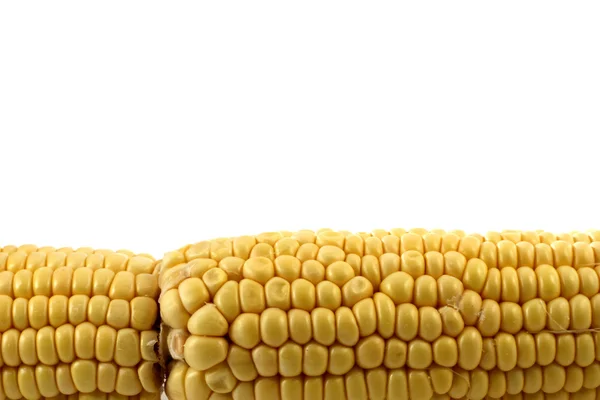 Isolated corn — Stock Photo, Image