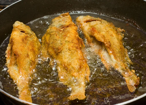 stock image Fish frying