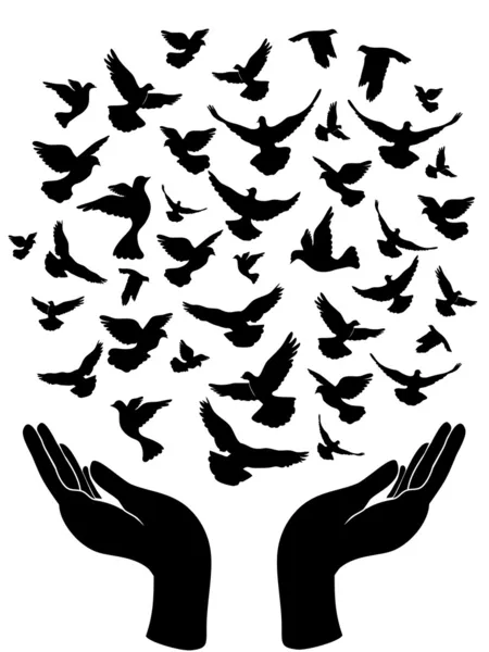 Mains libérant le pigeon de la paix — Image vectorielle