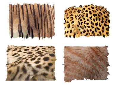 Feline animals fur patterns clipart