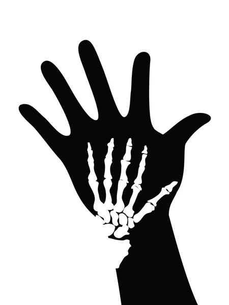 Skelett zur Hand — Stockvektor