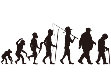 Human evolution clipart