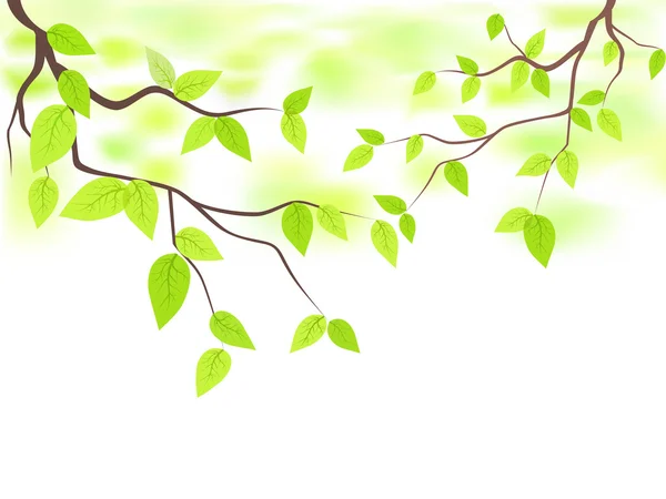 绿色的树叶与副本空间 — 图库矢量图片