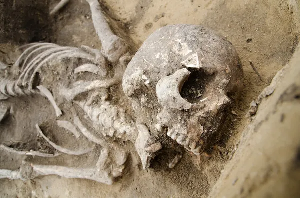 Gerçek insan iskeleti mezarının — Stok fotoğraf