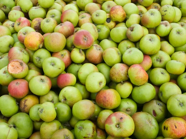 stock image Apple texture