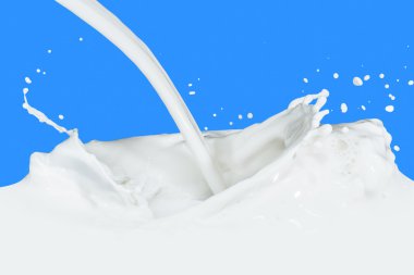 Milk splash clipart