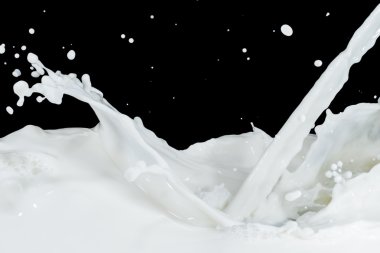 Milk splash clipart