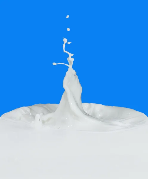 Молочные брызги — стоковое фото