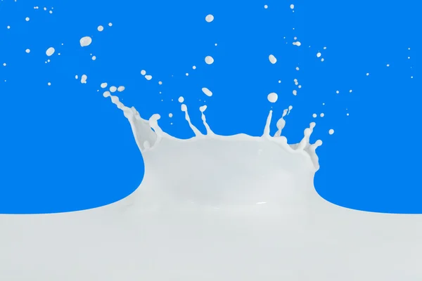 Éclaboussure de lait — Photo