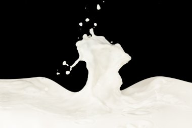 Milk splash clipart