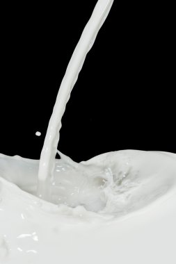 Milk splash clipart