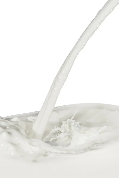 stock image Milk splash