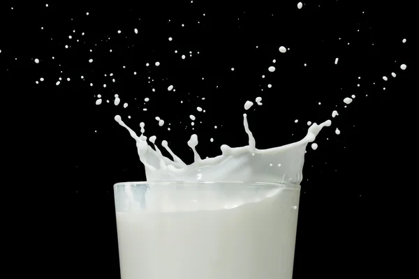 Mjölkstänk — Stockfoto