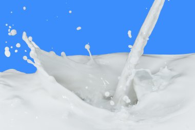 Milk splash clipart