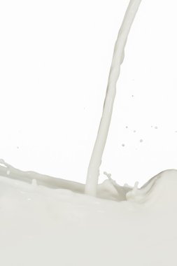 Milk splash clipart