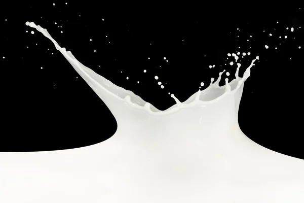 Stock image Milk splash