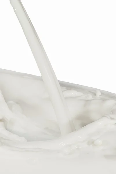 stock image Milk splash