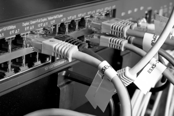 Cabluri de rețea — Fotografie, imagine de stoc