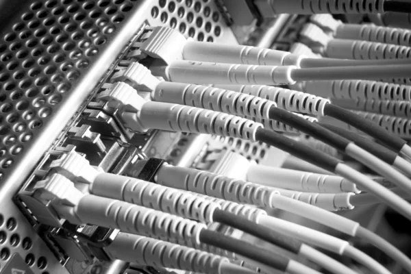 Hálózati kábelek — Stock Fotó