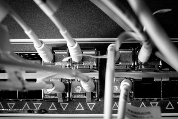 ネットワーク ケーブル — ストック写真