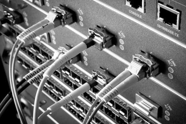 Hálózati kábelek — Stock Fotó