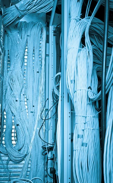 Concept de câbles réseau — Photo