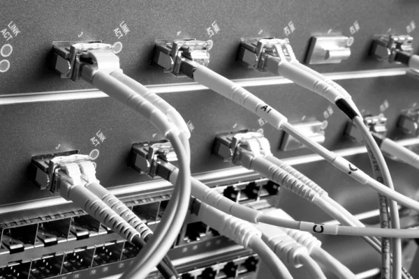 Câbles réseau — Photo