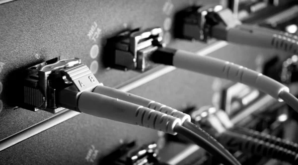 Мережні кабелі — стокове фото