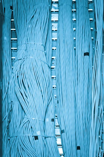 Hálózati kábelek koncepció — Stock Fotó