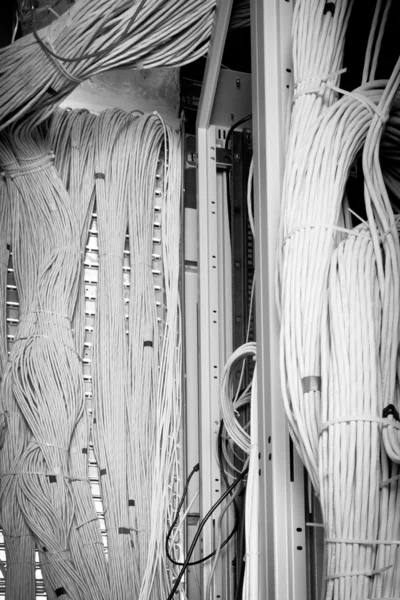 Conceito de cabos de rede — Fotografia de Stock