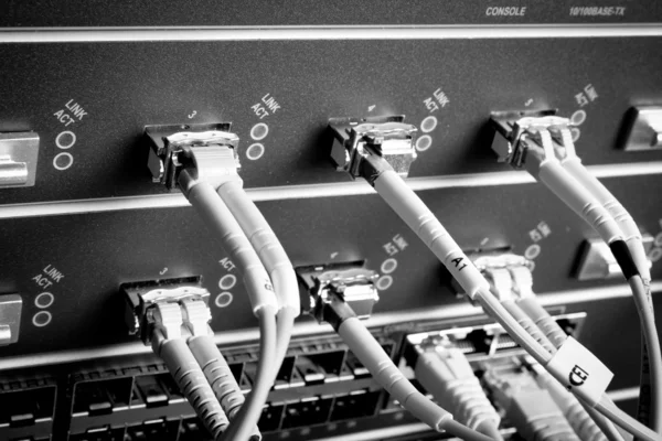 Kabel jaringan — Stok Foto