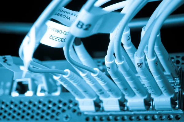 Network cables — Stock Photo, Image
