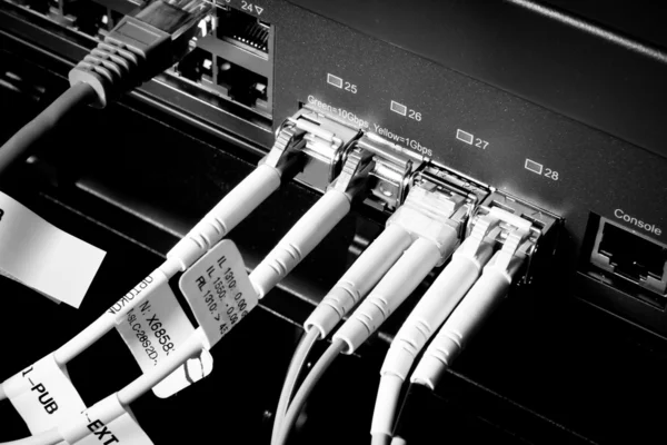 Kable sieciowe — Zdjęcie stockowe