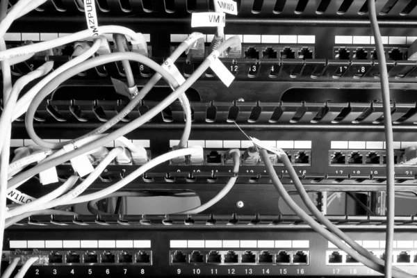 ネットワーク ケーブル — ストック写真