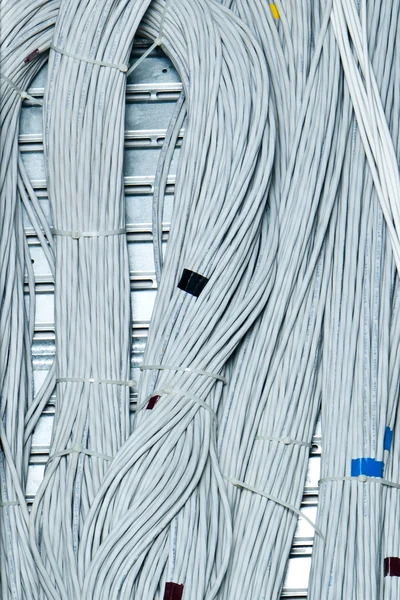 Hálózati kábelek koncepció — Stock Fotó