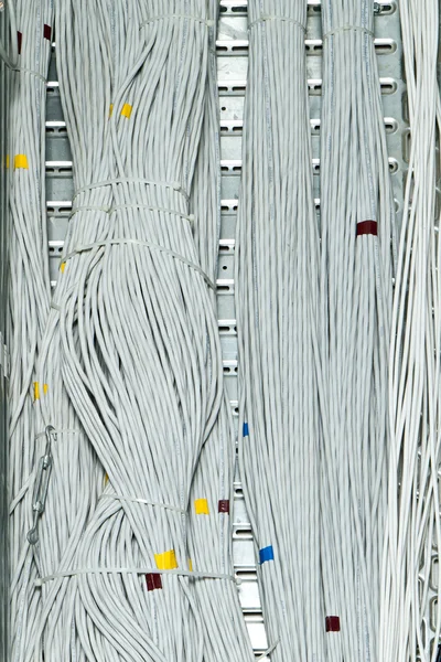 Network cables concept — Stock Photo, Image