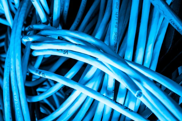 Концепция сетевых кабелей — стоковое фото